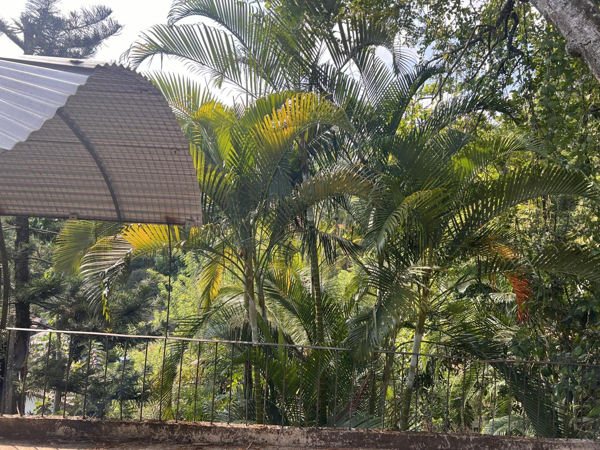 Canopy Villa Kandy Ngoại thất bức ảnh