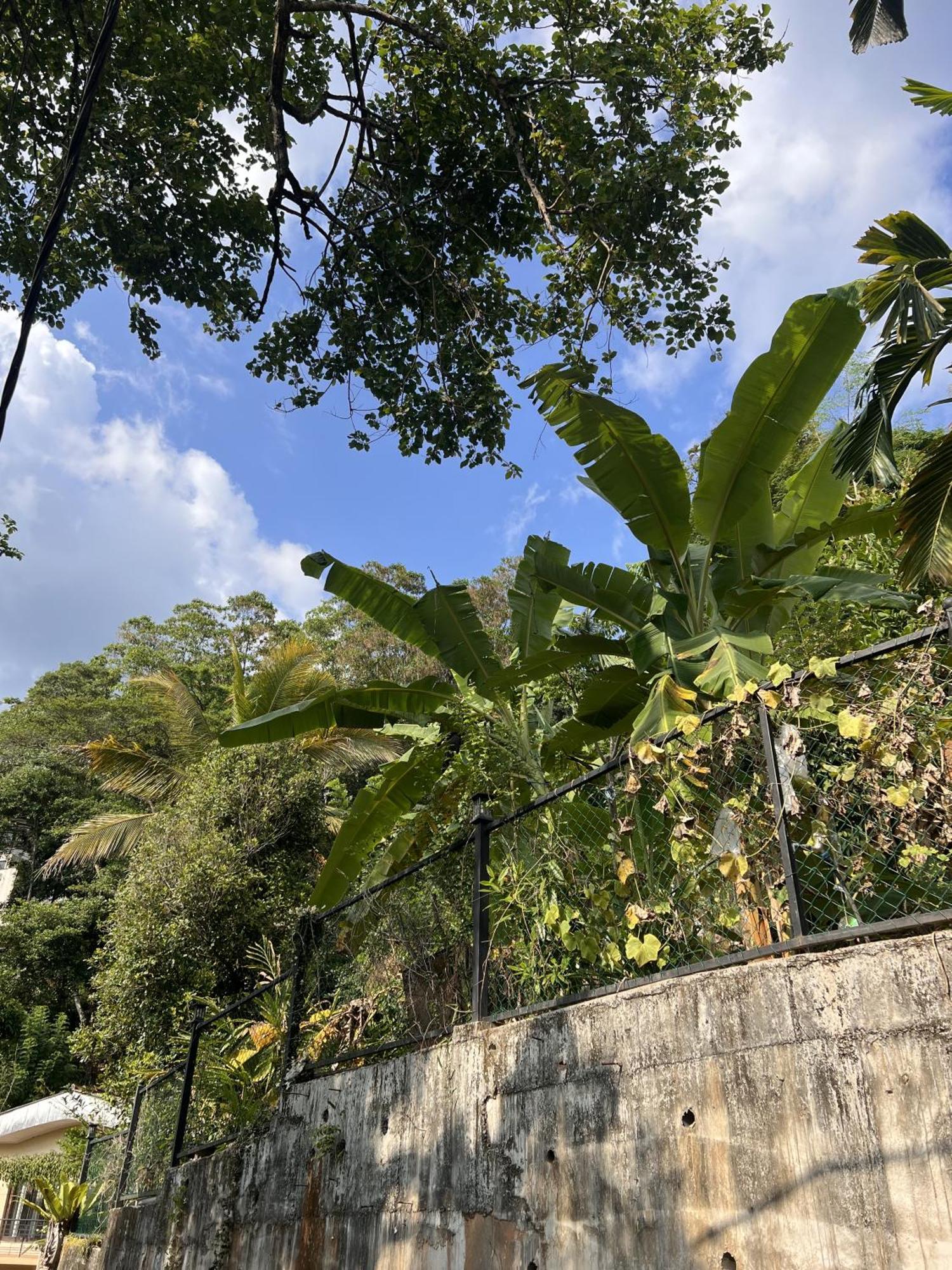 Canopy Villa Kandy Ngoại thất bức ảnh